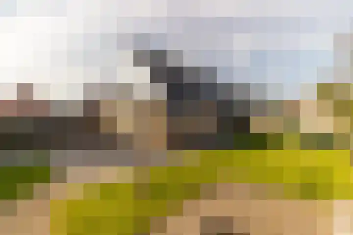 Wissebuurt 4 Nijemirdum thumbnail 27