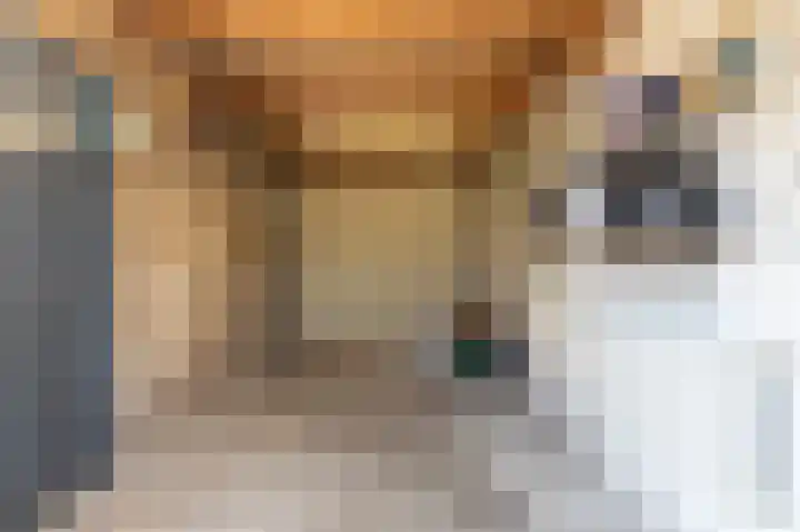 Wissebuurt 4 Nijemirdum thumbnail 29