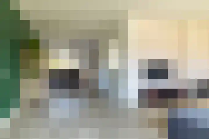 Wissebuurt 4 Nijemirdum thumbnail 9