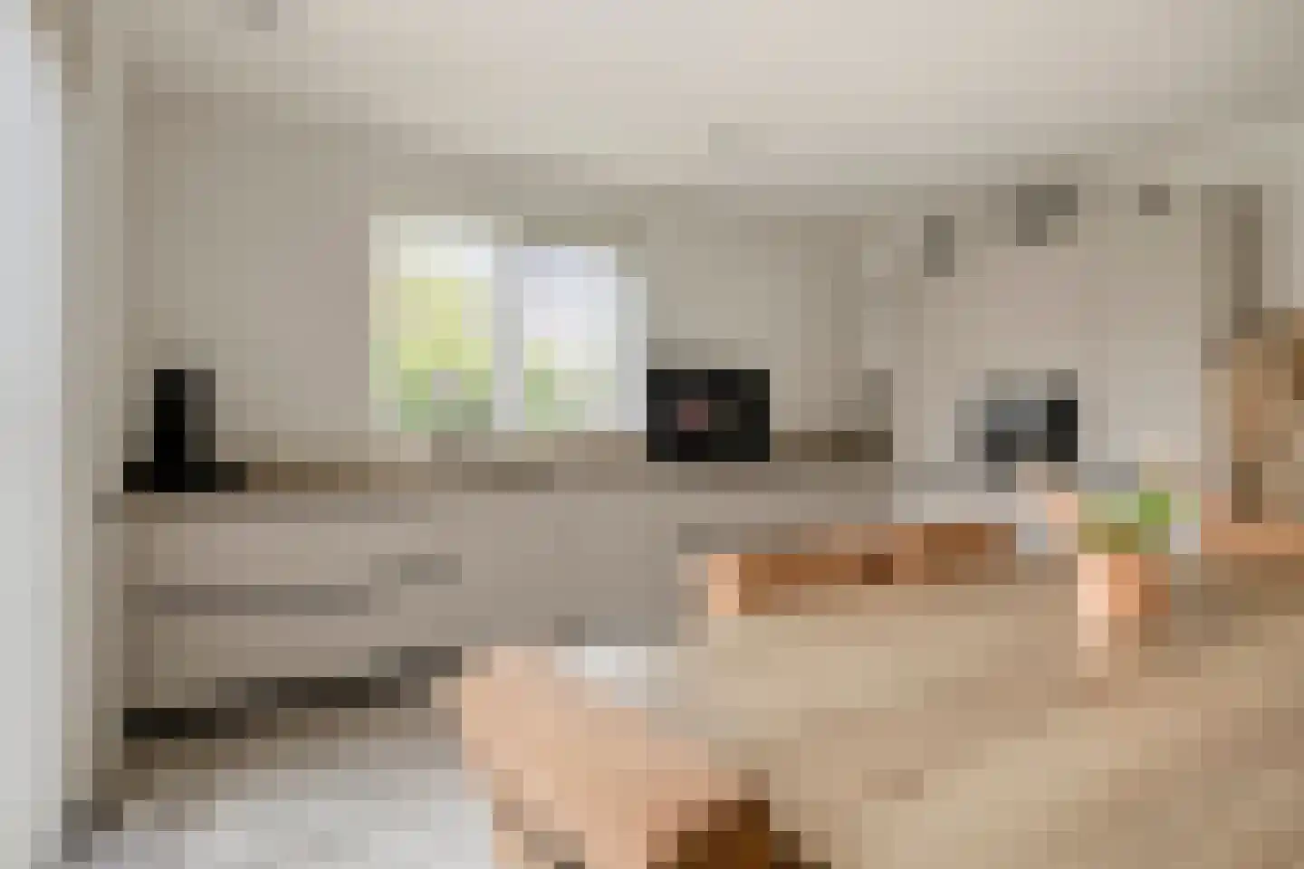 Wissekerkseweg 4 E 's-Heer Arendskerke thumbnail 13