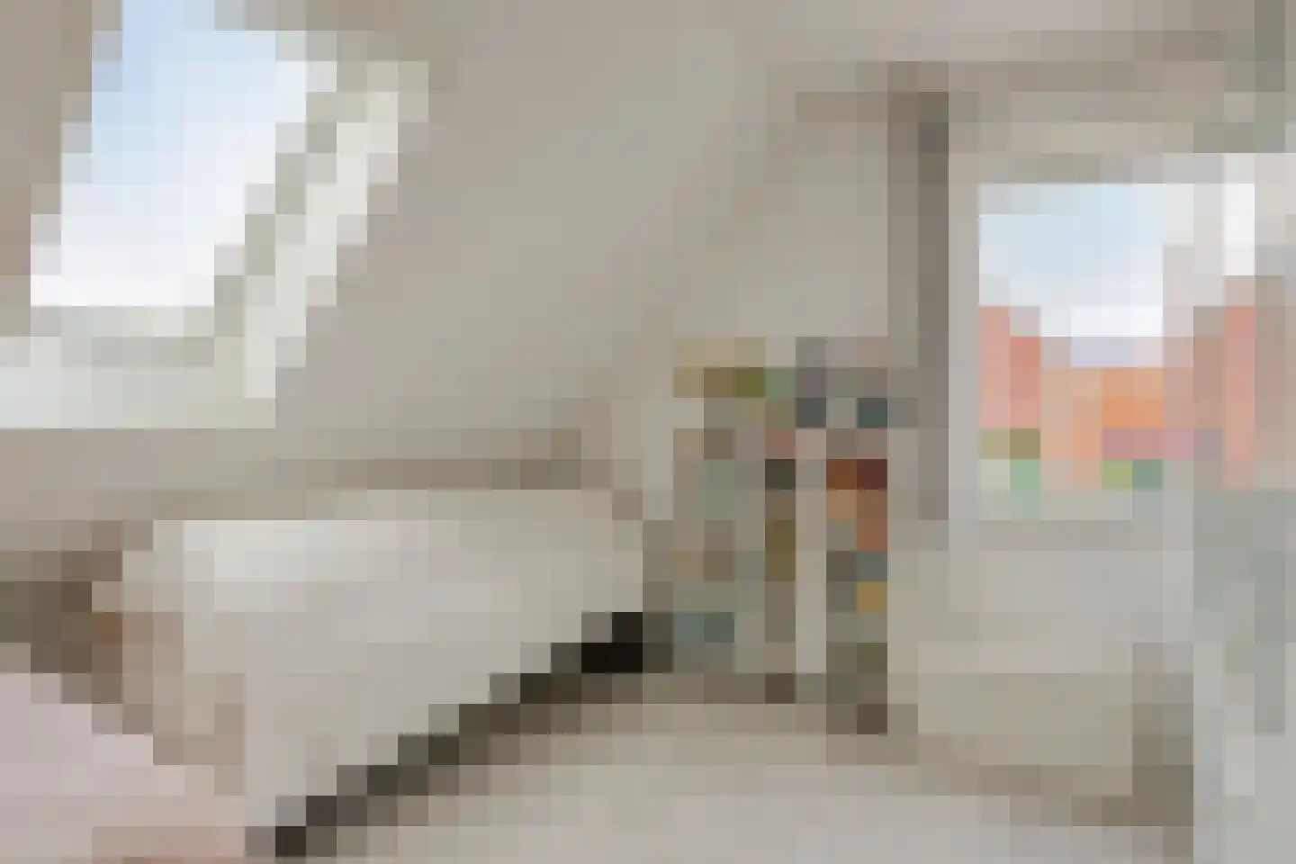 Wissekerkseweg 4 E 's-Heer Arendskerke thumbnail 26