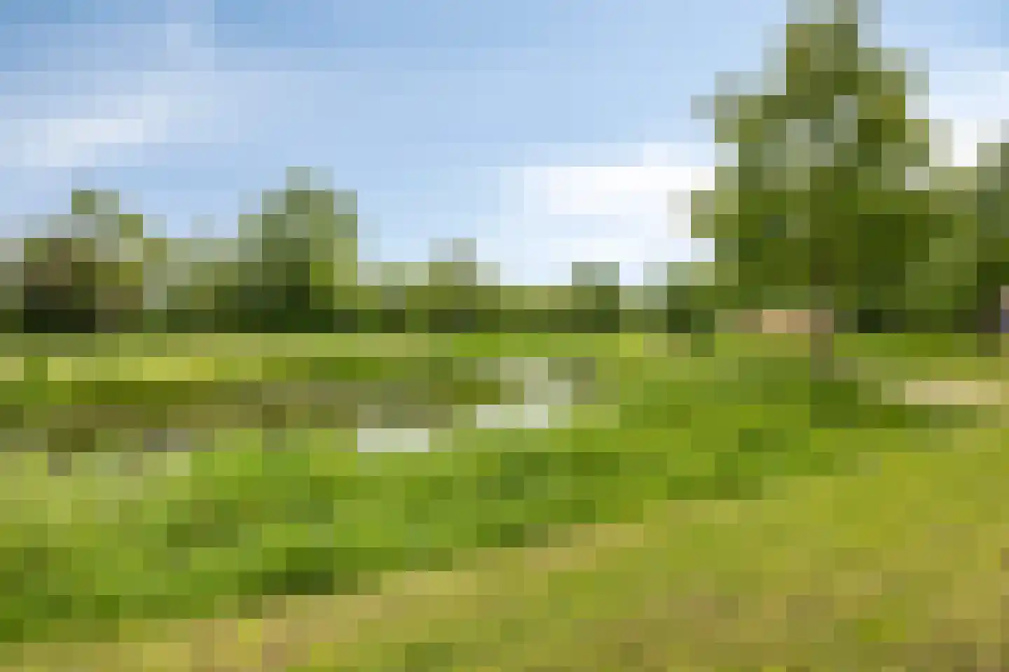 Wissekerkseweg 4 E 's-Heer Arendskerke thumbnail 37