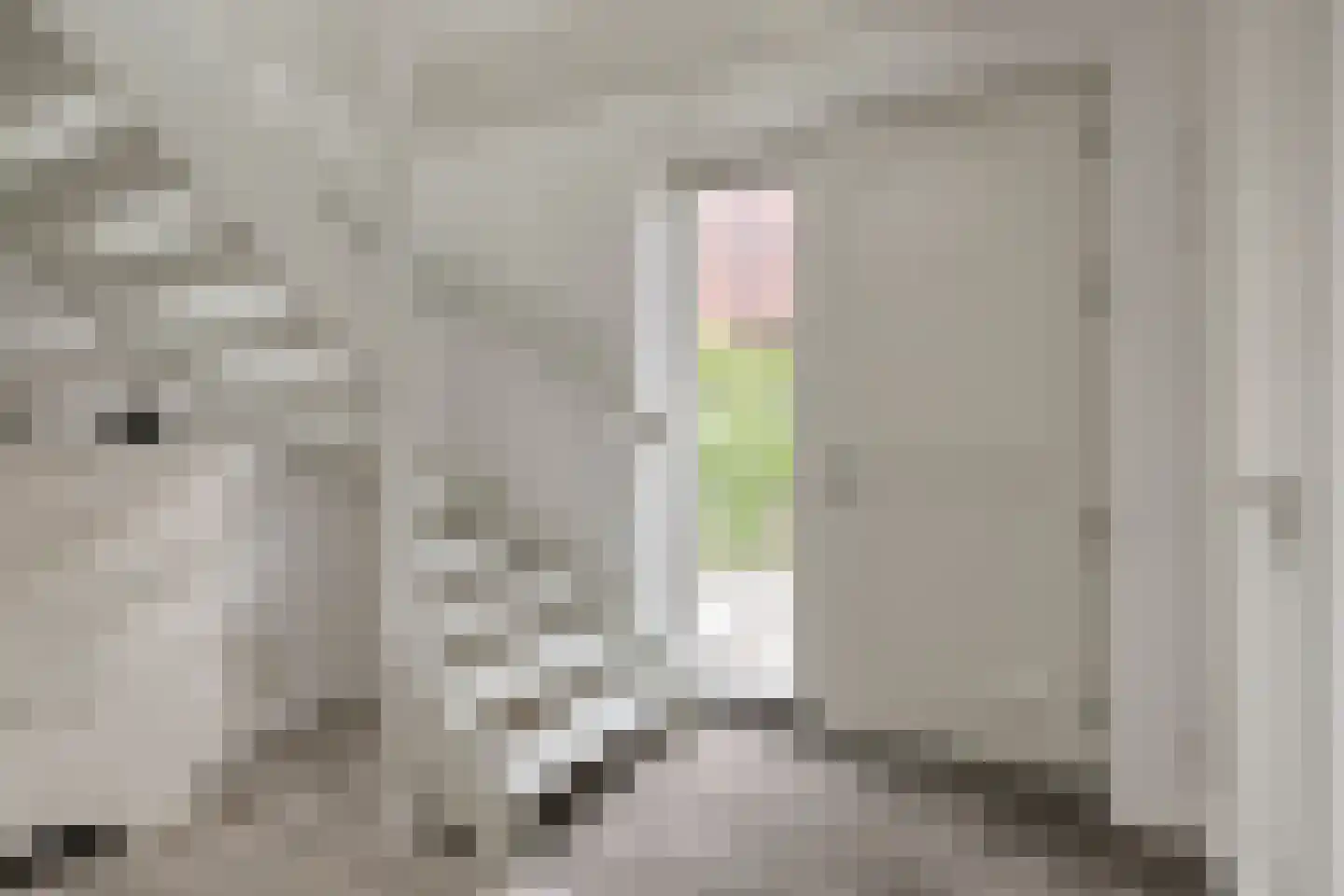 Wissekerkseweg 4 E 's-Heer Arendskerke thumbnail 5