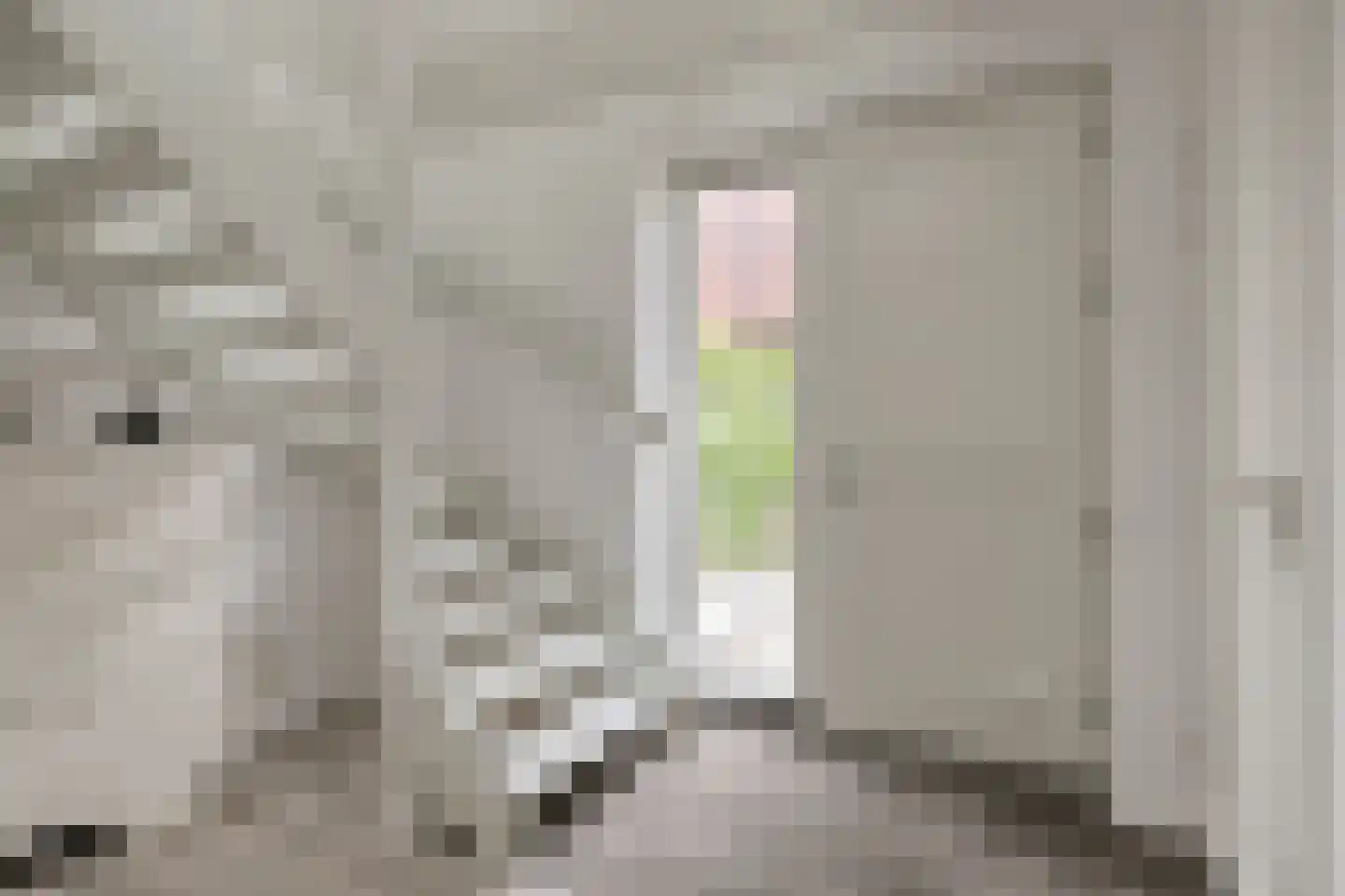 Wissekerkseweg 4 E 's-Heer Arendskerke thumbnail 6
