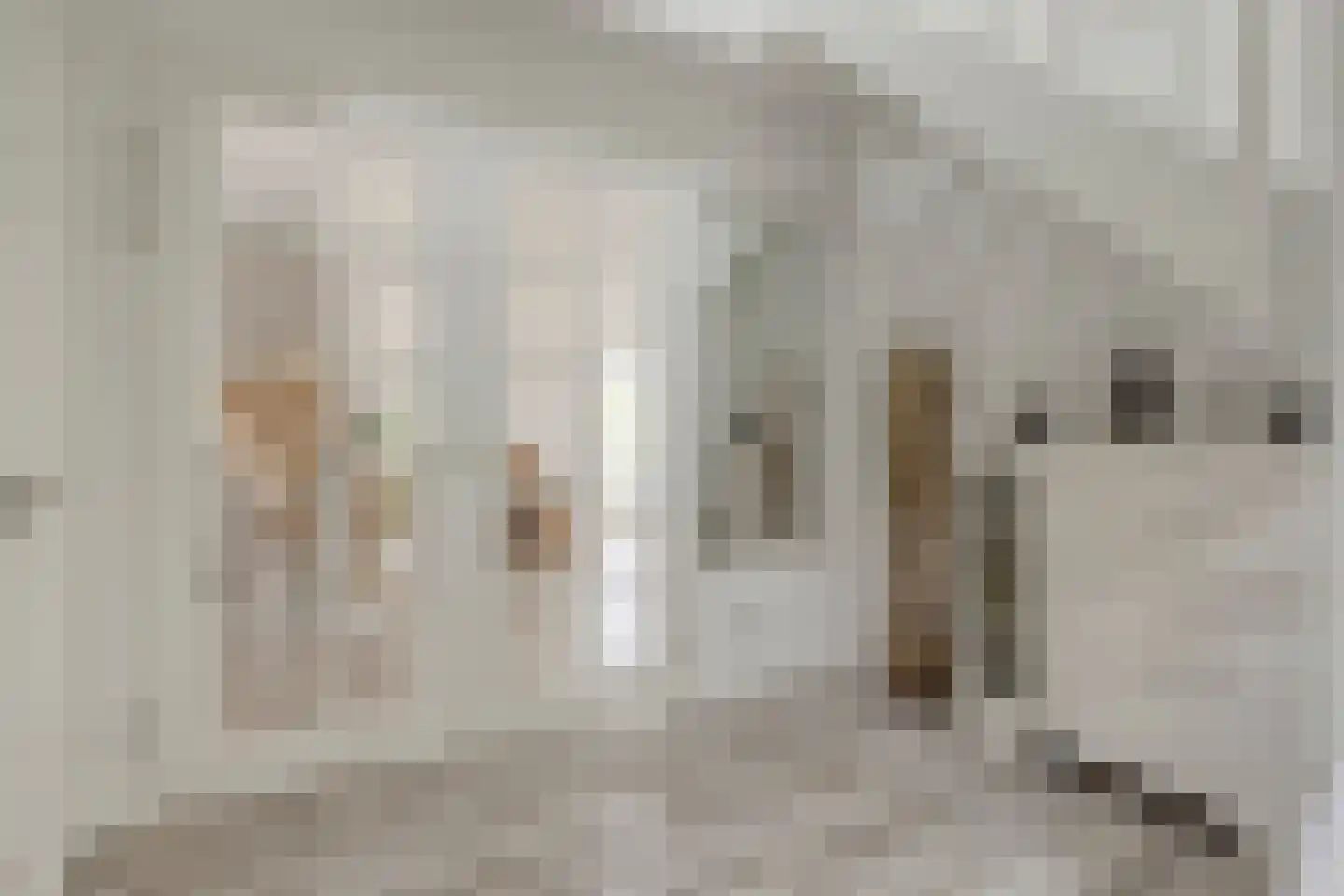Wissekerkseweg 4 E 's-Heer Arendskerke thumbnail 7