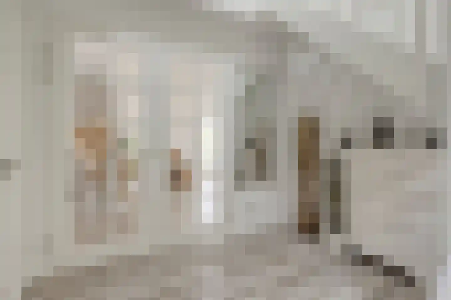 Wissekerkseweg 4 E 's-Heer Arendskerke thumbnail 9