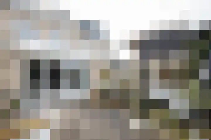 Wissel 14 Aalsmeer thumbnail 30