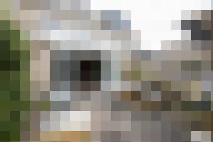Wissel 14 Aalsmeer thumbnail 31