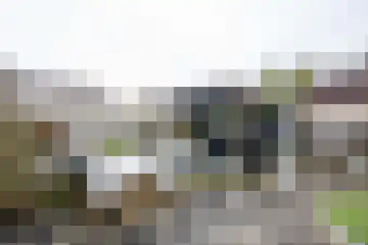 Wissel 14 Aalsmeer thumbnail 32