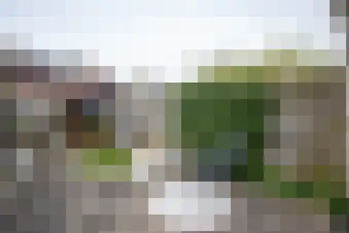 Wissel 14 Aalsmeer thumbnail 33