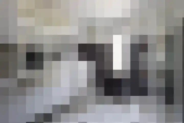 Wissel 26 Aalsmeer thumbnail 28