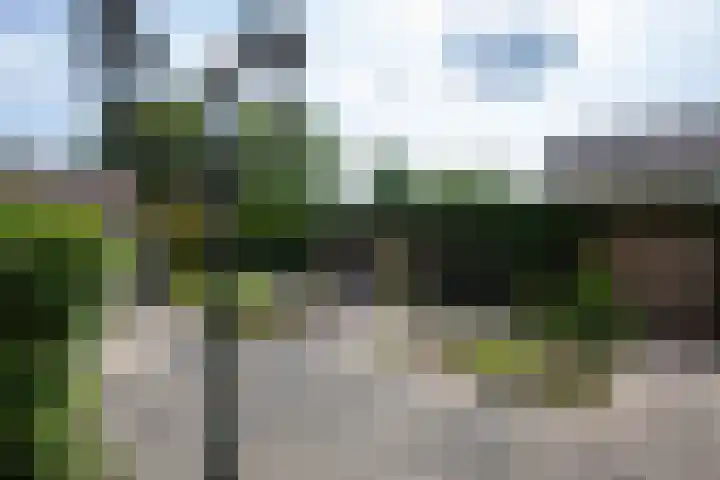 Wissel 26 Aalsmeer thumbnail 38