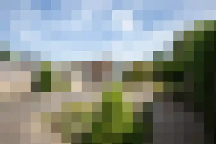 Wissel 26 Aalsmeer thumbnail 39