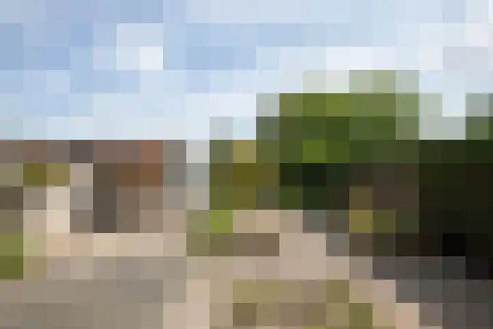 Wissel 26 Aalsmeer thumbnail 40