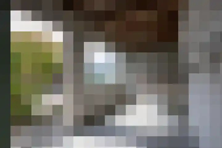 Wissel 26 Aalsmeer thumbnail 44