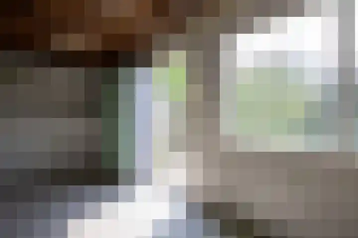 Wissel 26 Aalsmeer thumbnail 45
