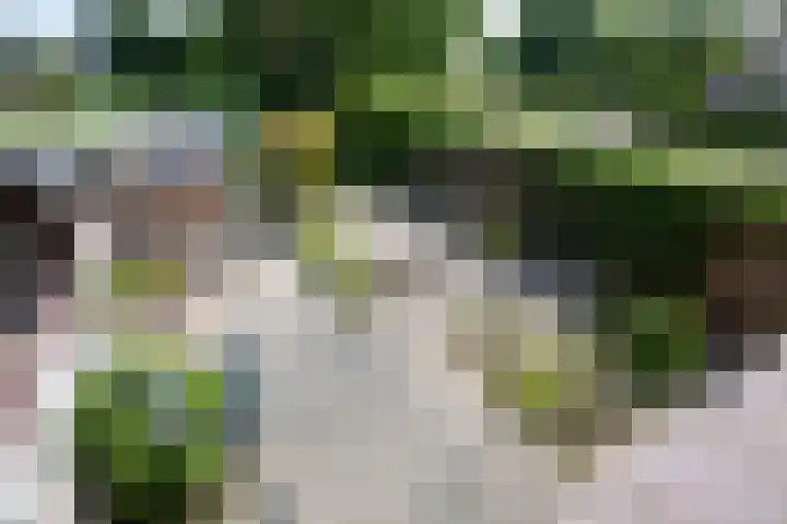 Wissel 26 Aalsmeer thumbnail 5