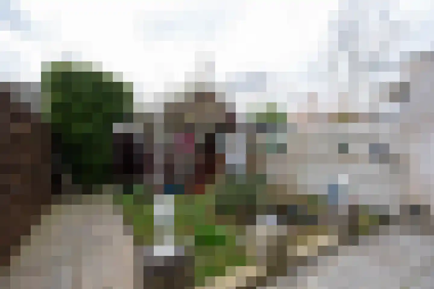 Wissel 29 Aalsmeer thumbnail 24