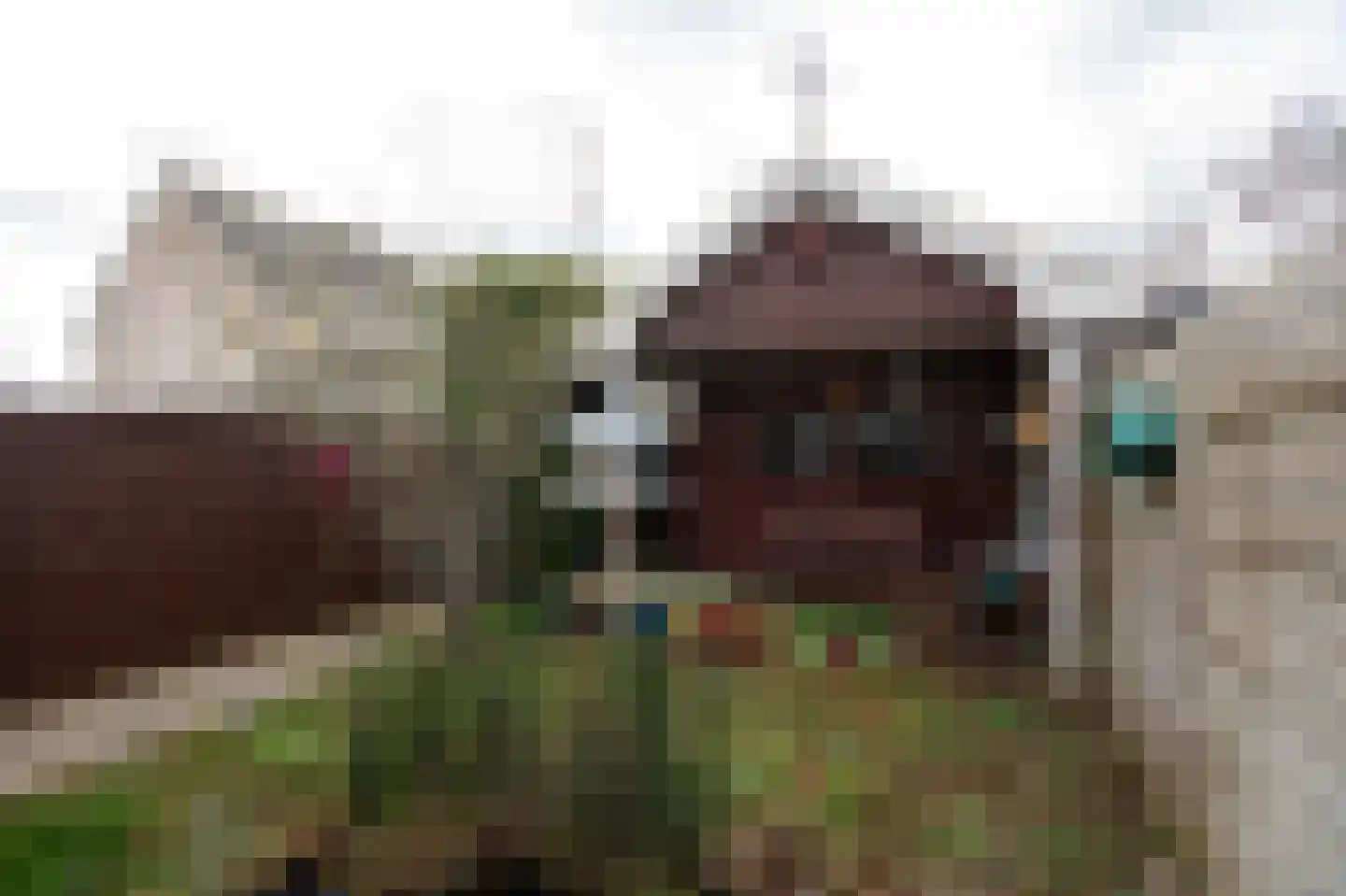 Wissel 29 Aalsmeer thumbnail 25