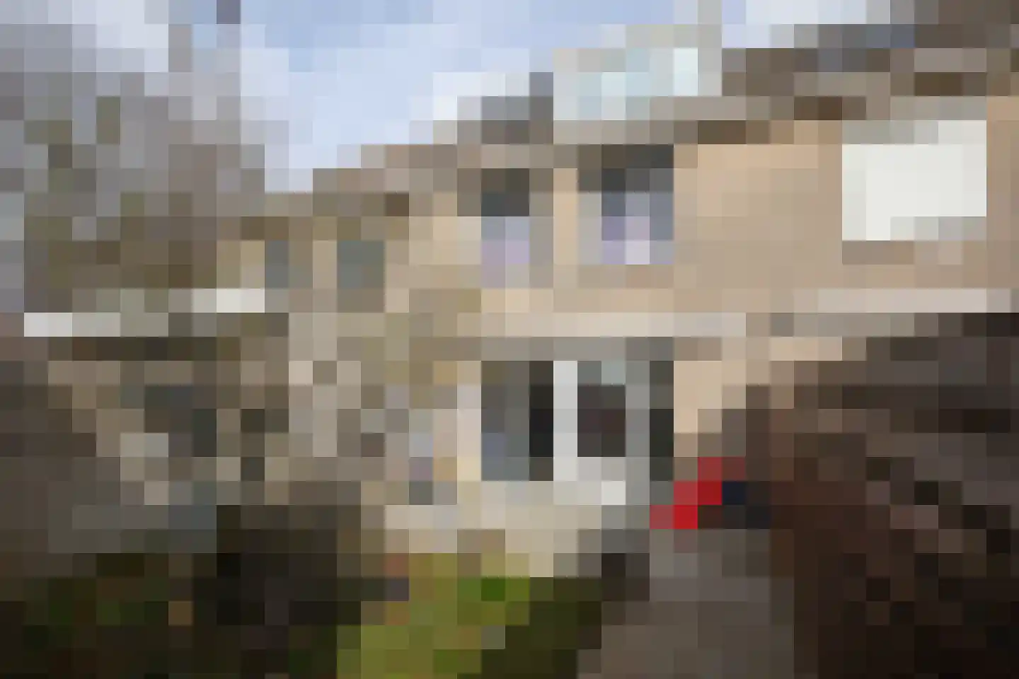 Wissel 29 Aalsmeer thumbnail 27