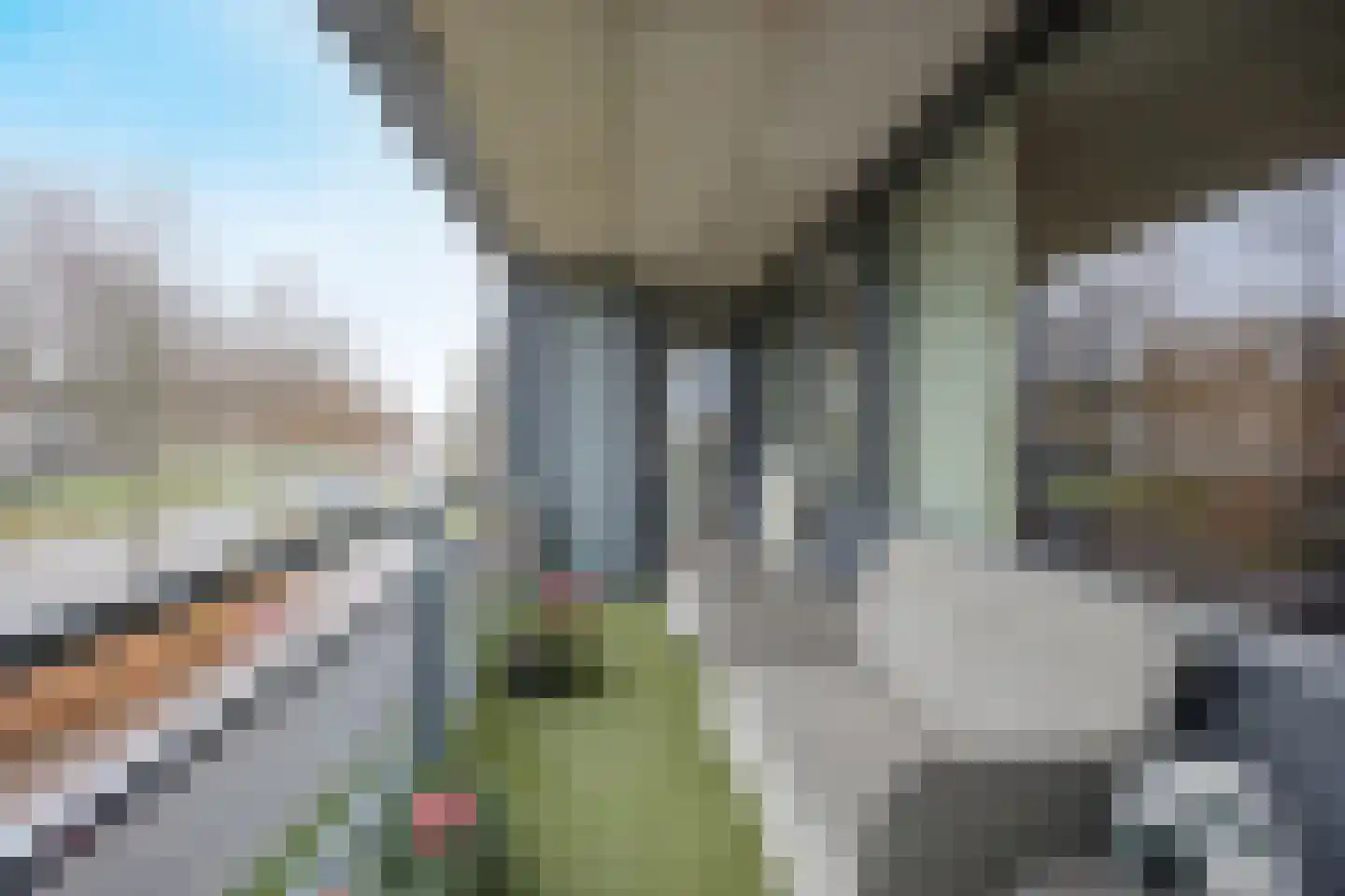 Wissel 58 Etten-Leur thumbnail 29