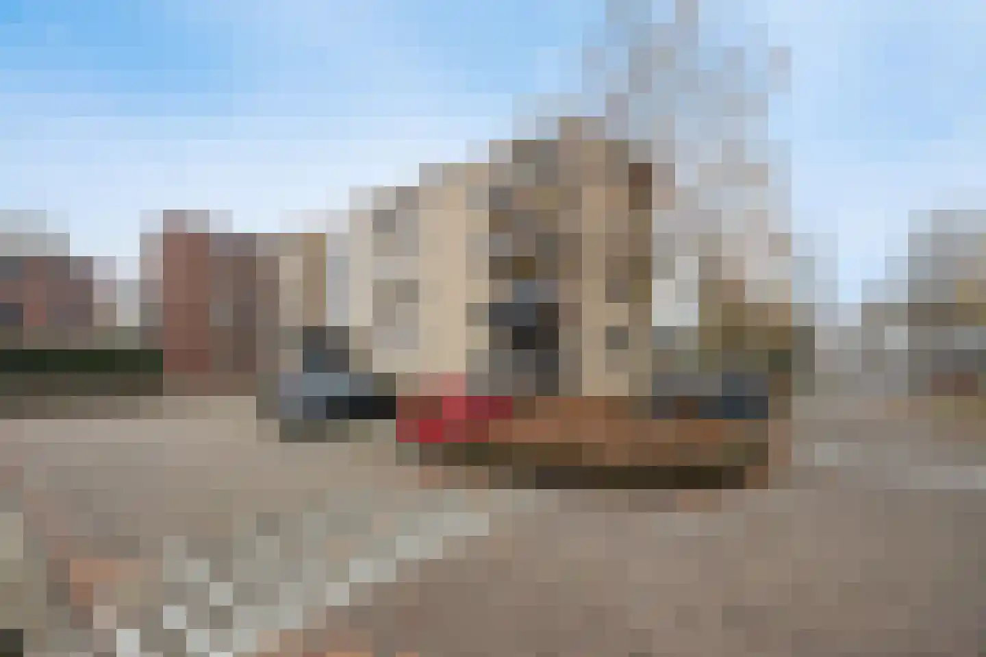 Wissel 58 Etten-Leur thumbnail 5