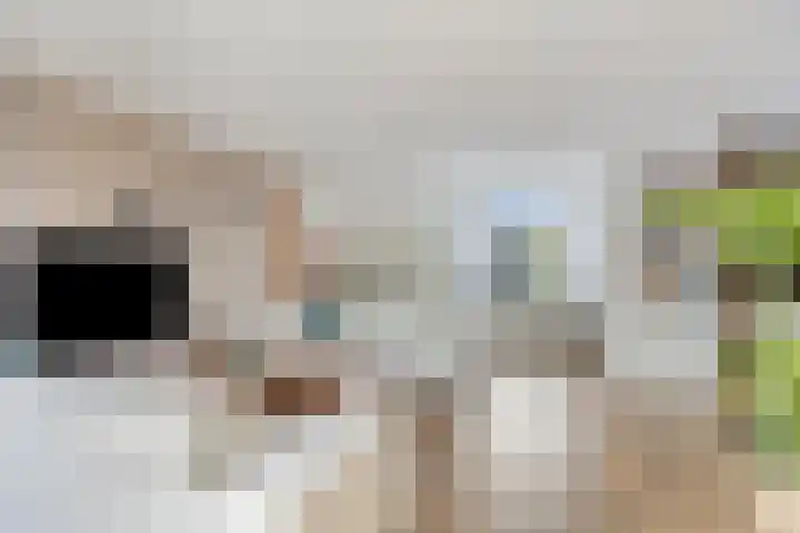 Wissel 76 Etten-Leur thumbnail 18