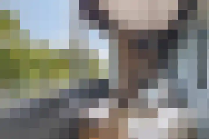 Wissel 76 Etten-Leur thumbnail 36