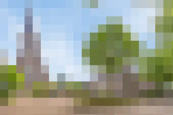 Wissel 76 Etten-Leur thumbnail 45