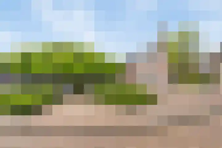 Wissel 76 Etten-Leur thumbnail 46