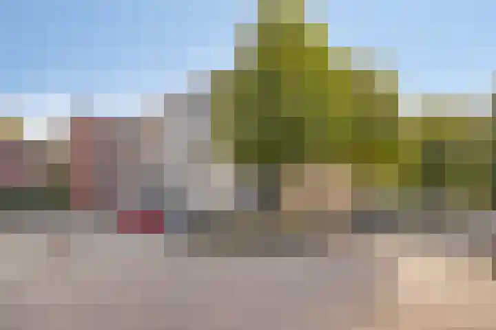 Wissel 76 Etten-Leur thumbnail 6