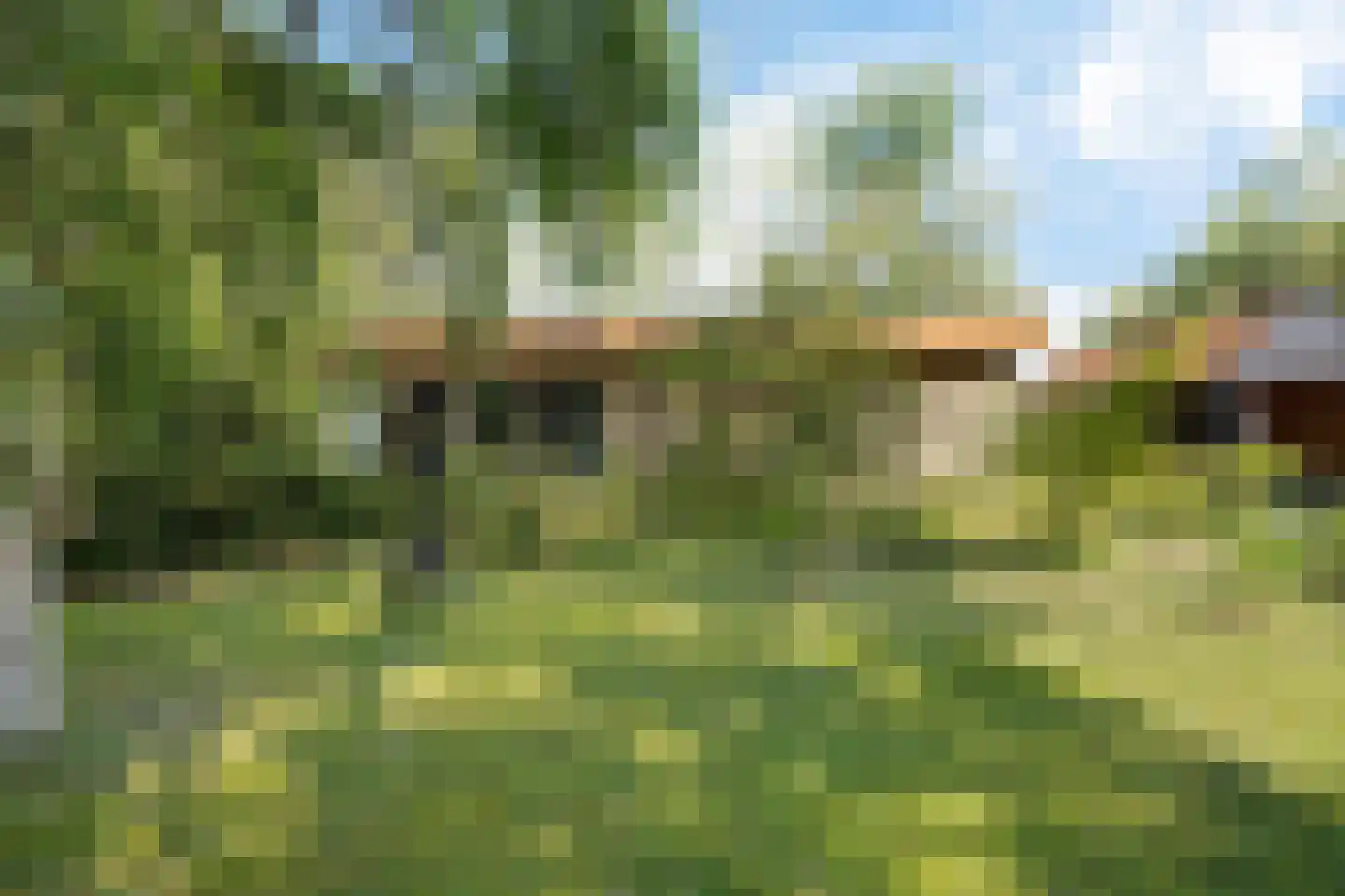 Wissel 9 Koekange thumbnail 24