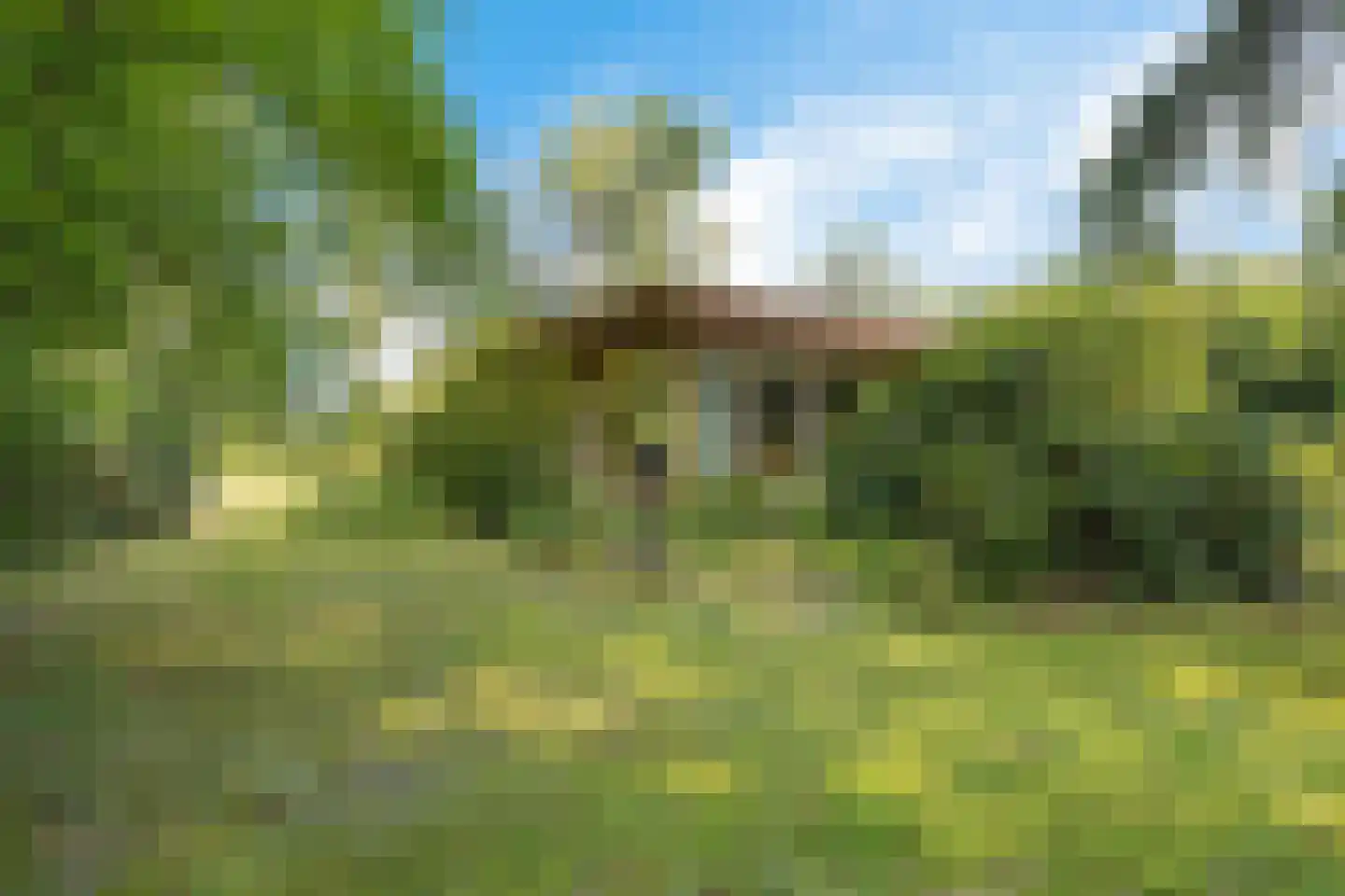 Wissel 9 Koekange thumbnail 26