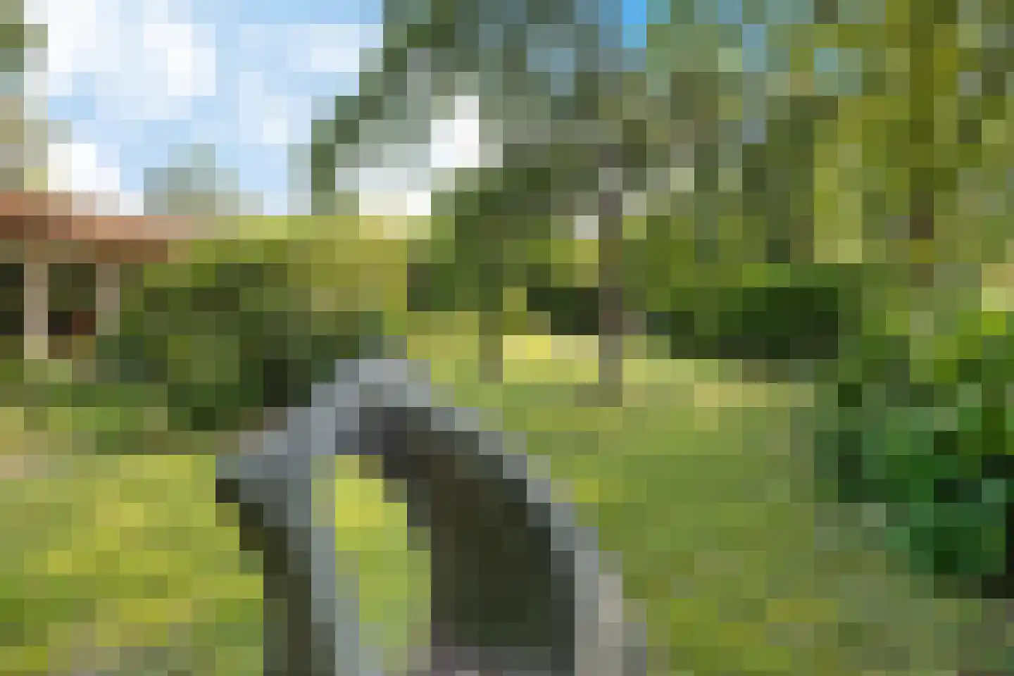 Wissel 9 Koekange thumbnail 27