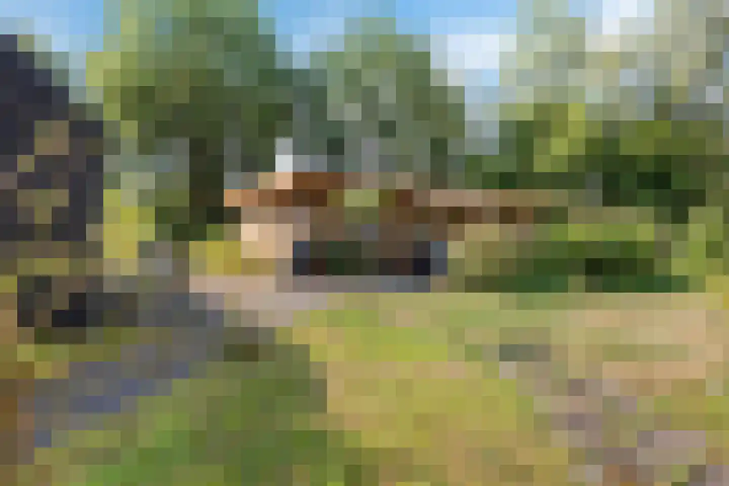 Wissel 9 Koekange thumbnail 28