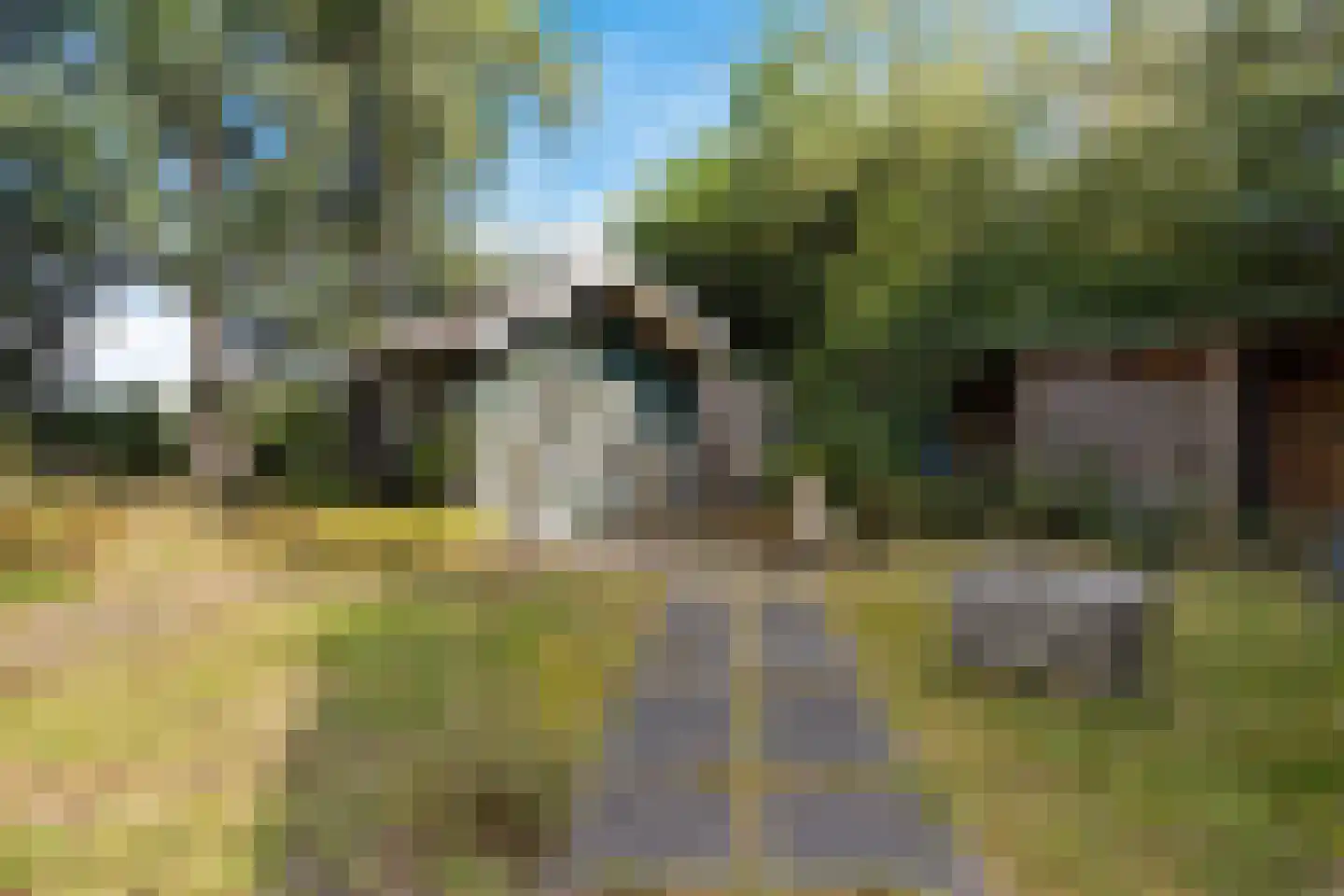Wissel 9 Koekange thumbnail 30