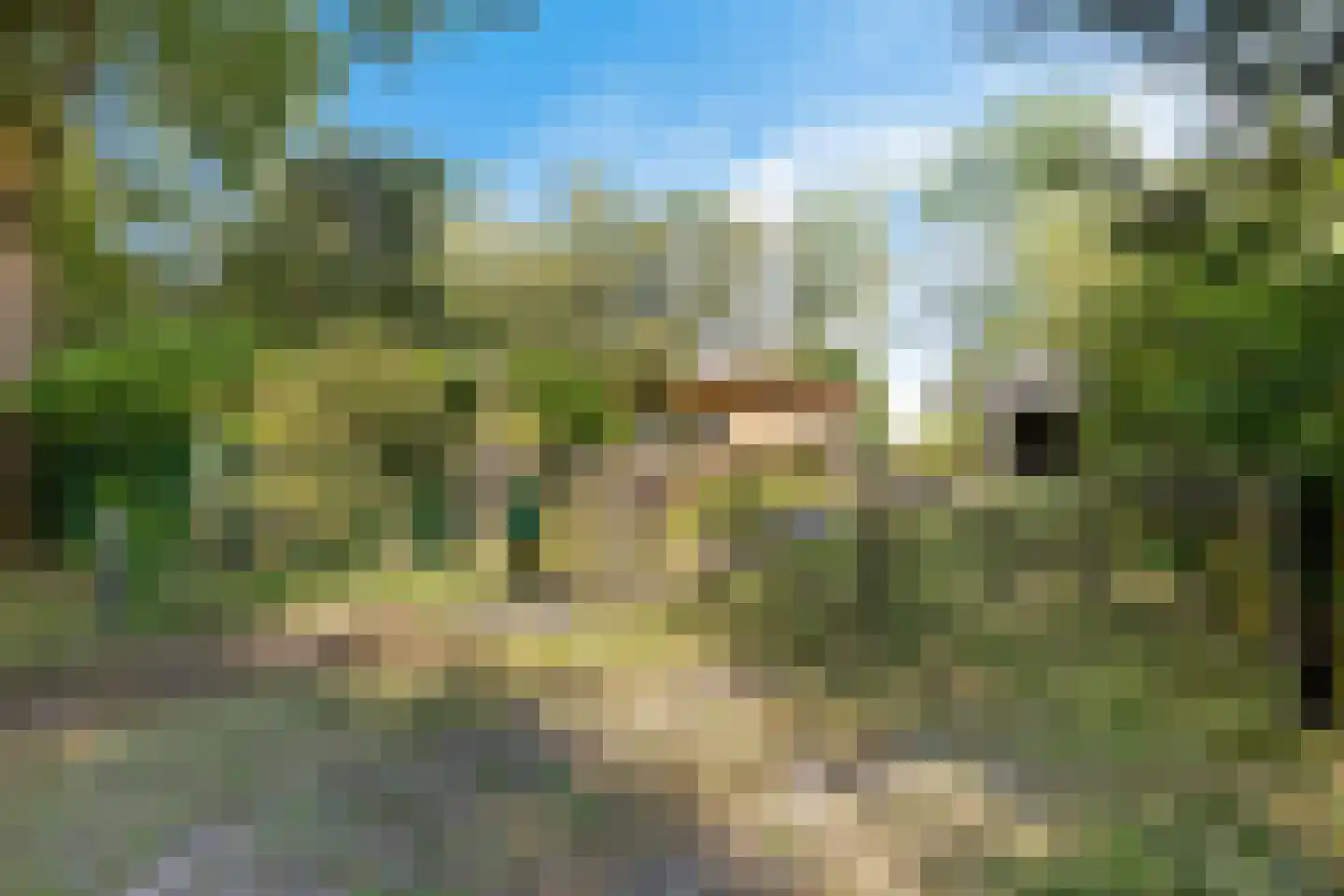 Wissel 9 Koekange thumbnail 31