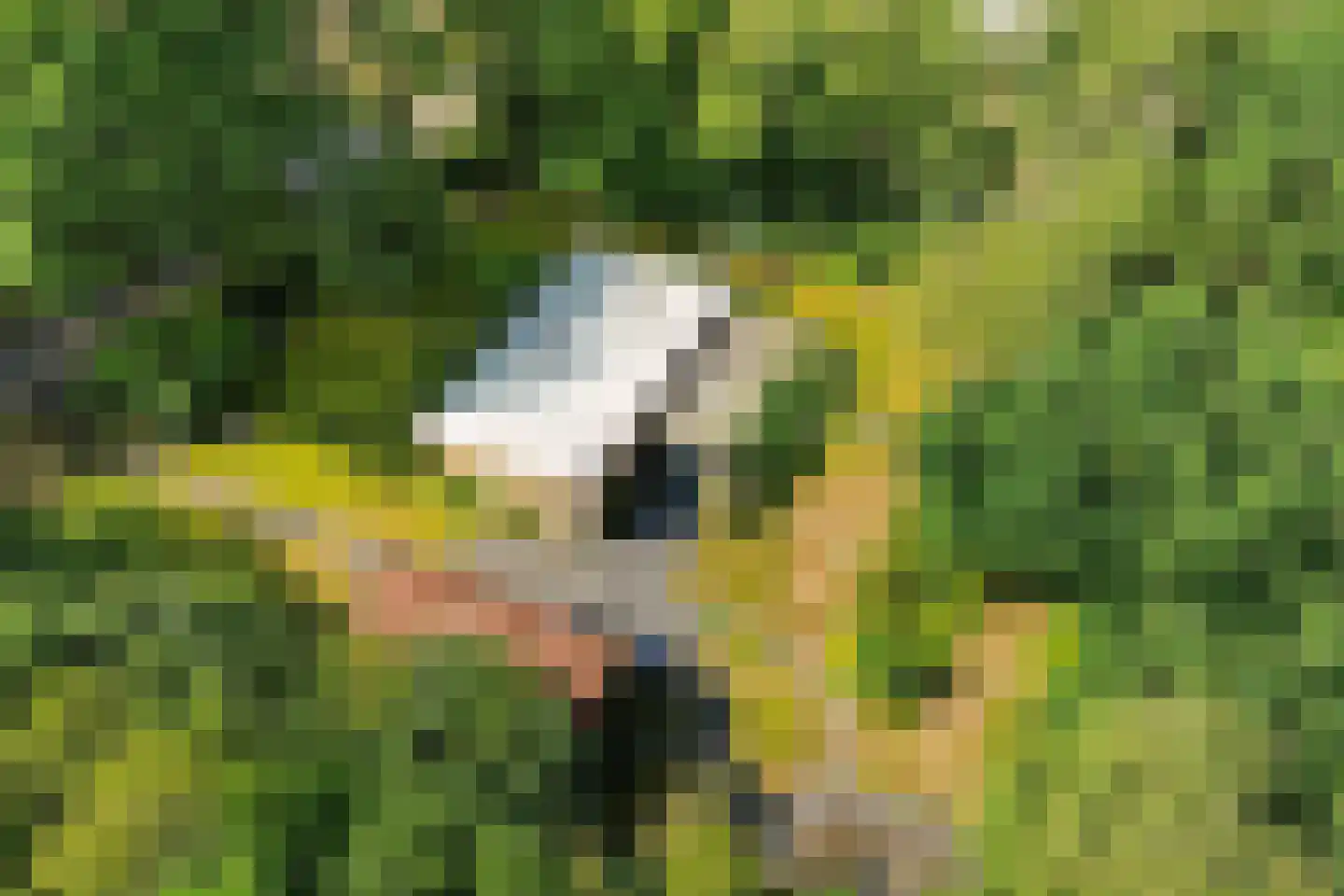 Wissel 9 Koekange thumbnail 34