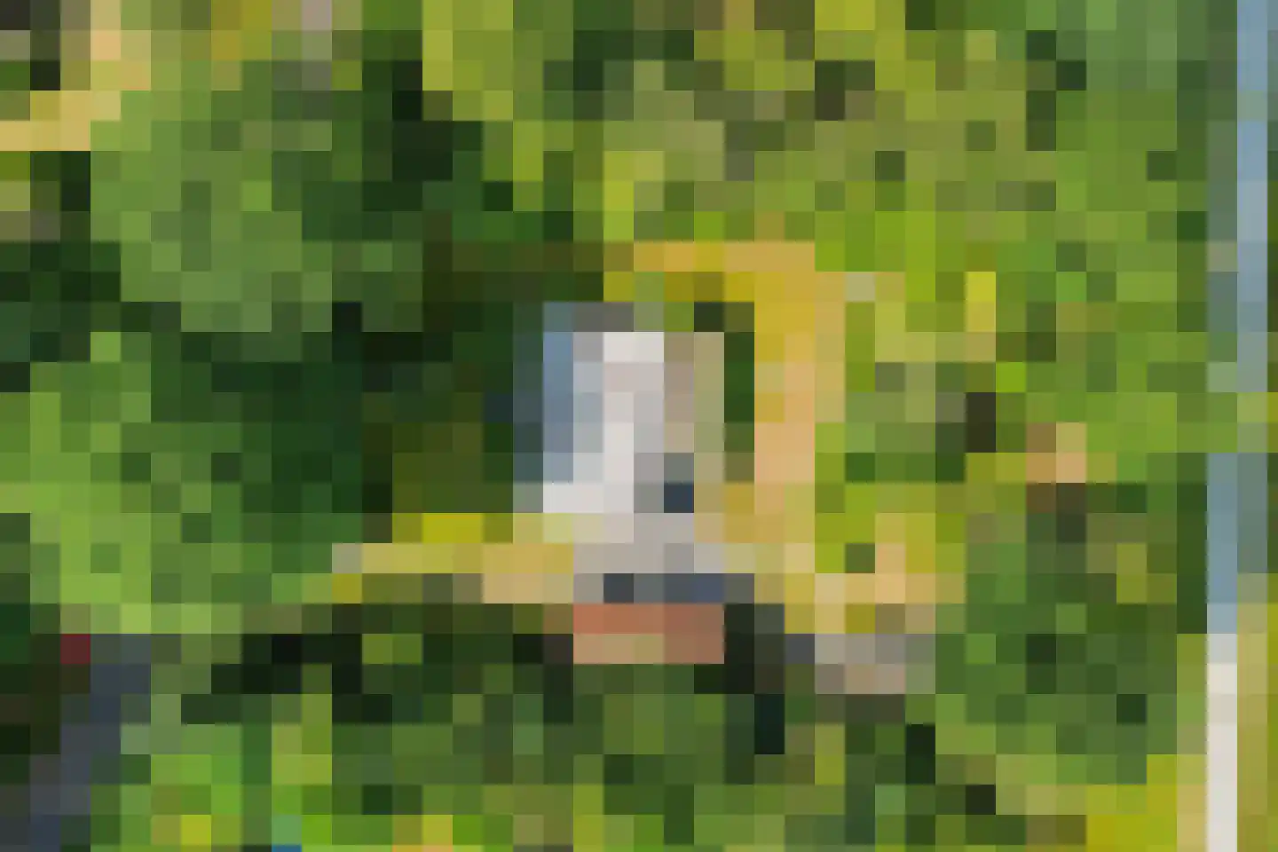 Wissel 9 Koekange thumbnail 35