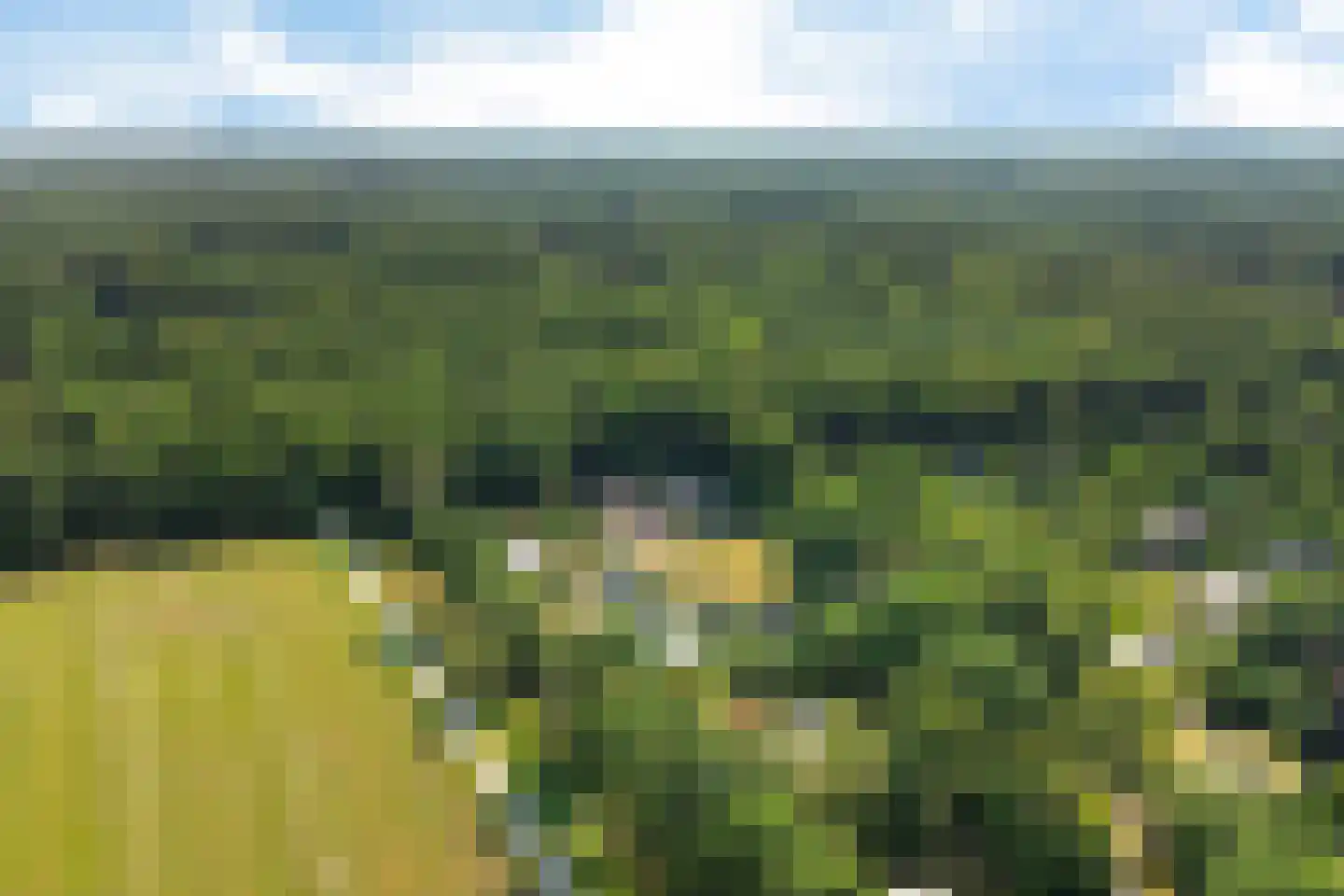 Wissel 9 Koekange thumbnail 36