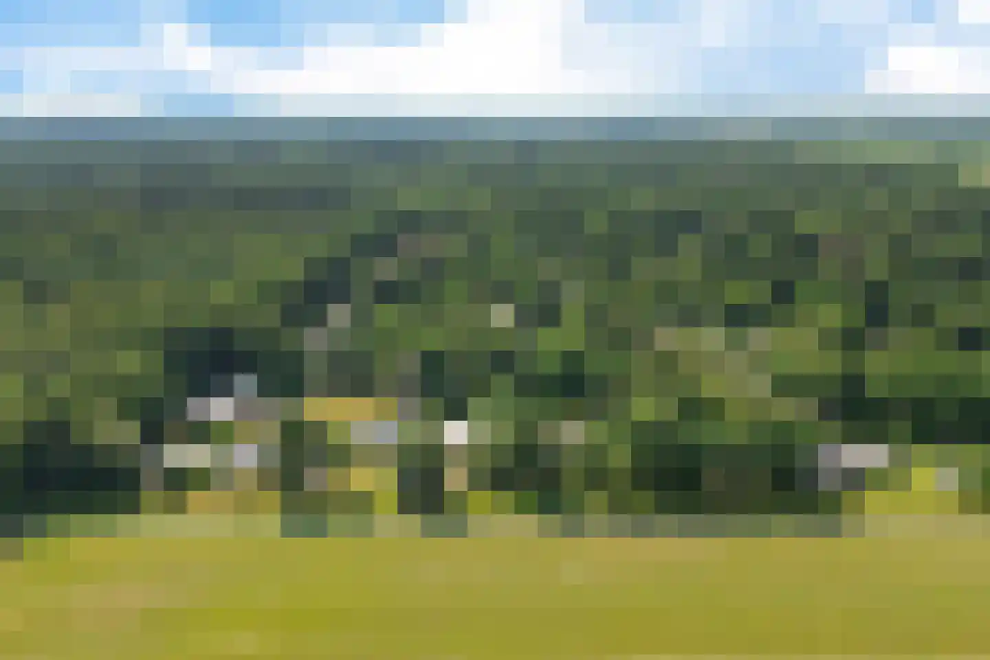 Wissel 9 Koekange thumbnail 37