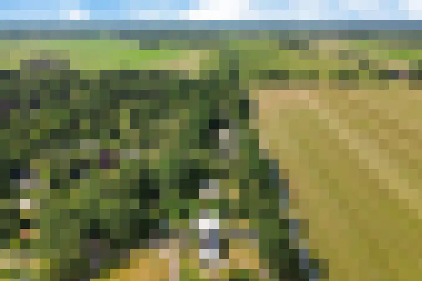 Wissel 9 Koekange thumbnail 38