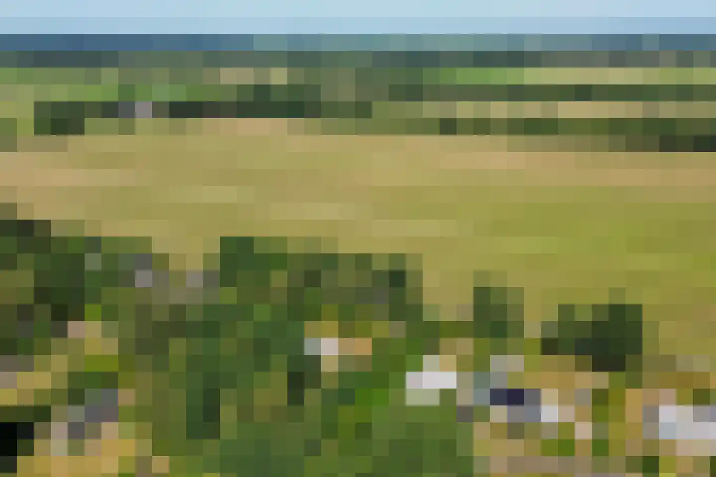 Wissel 9 Koekange thumbnail 39
