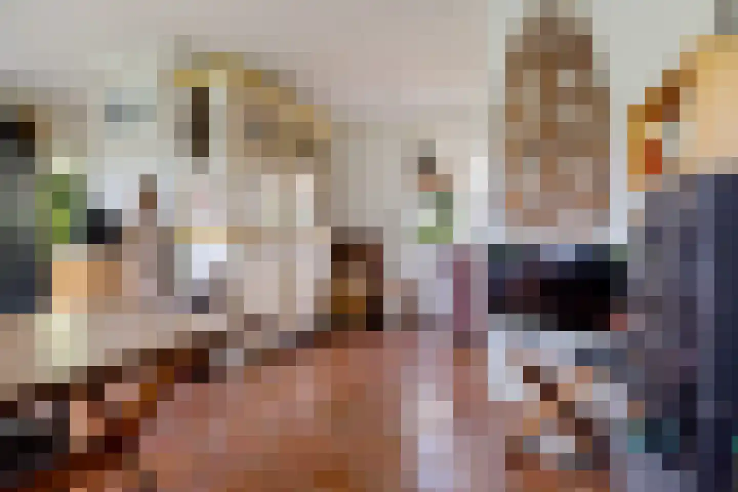 Wissel 9 Koekange thumbnail 6