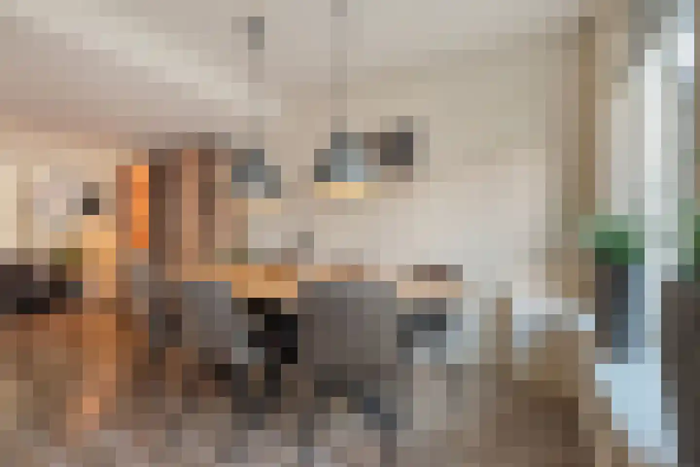 Wisselkom 8 Steenbergen thumbnail 12