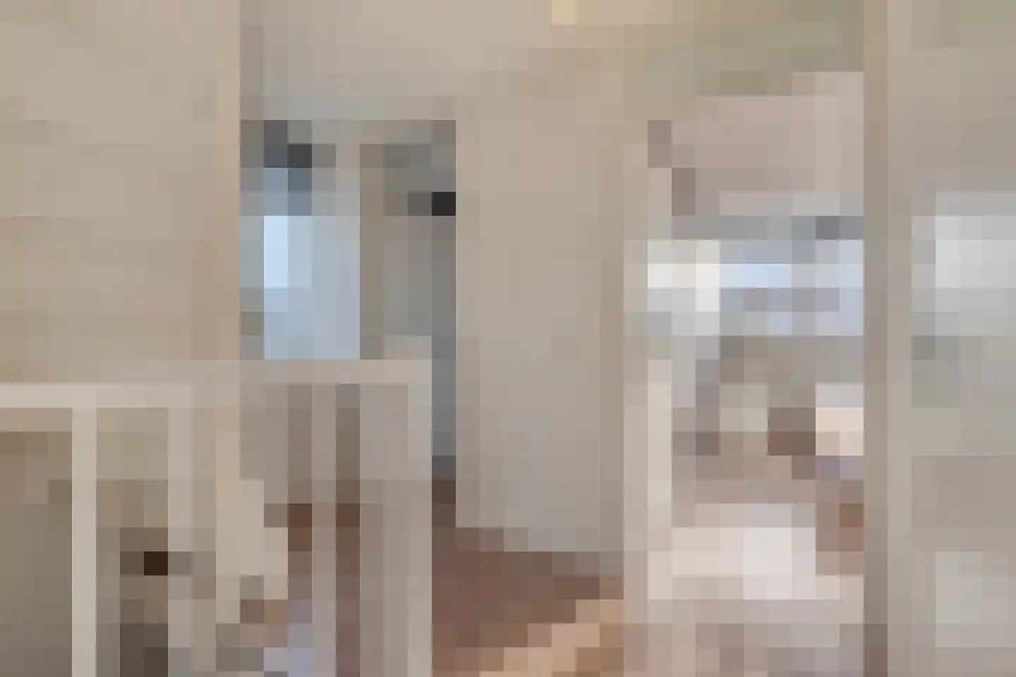 Wisselkom 8 Steenbergen thumbnail 19