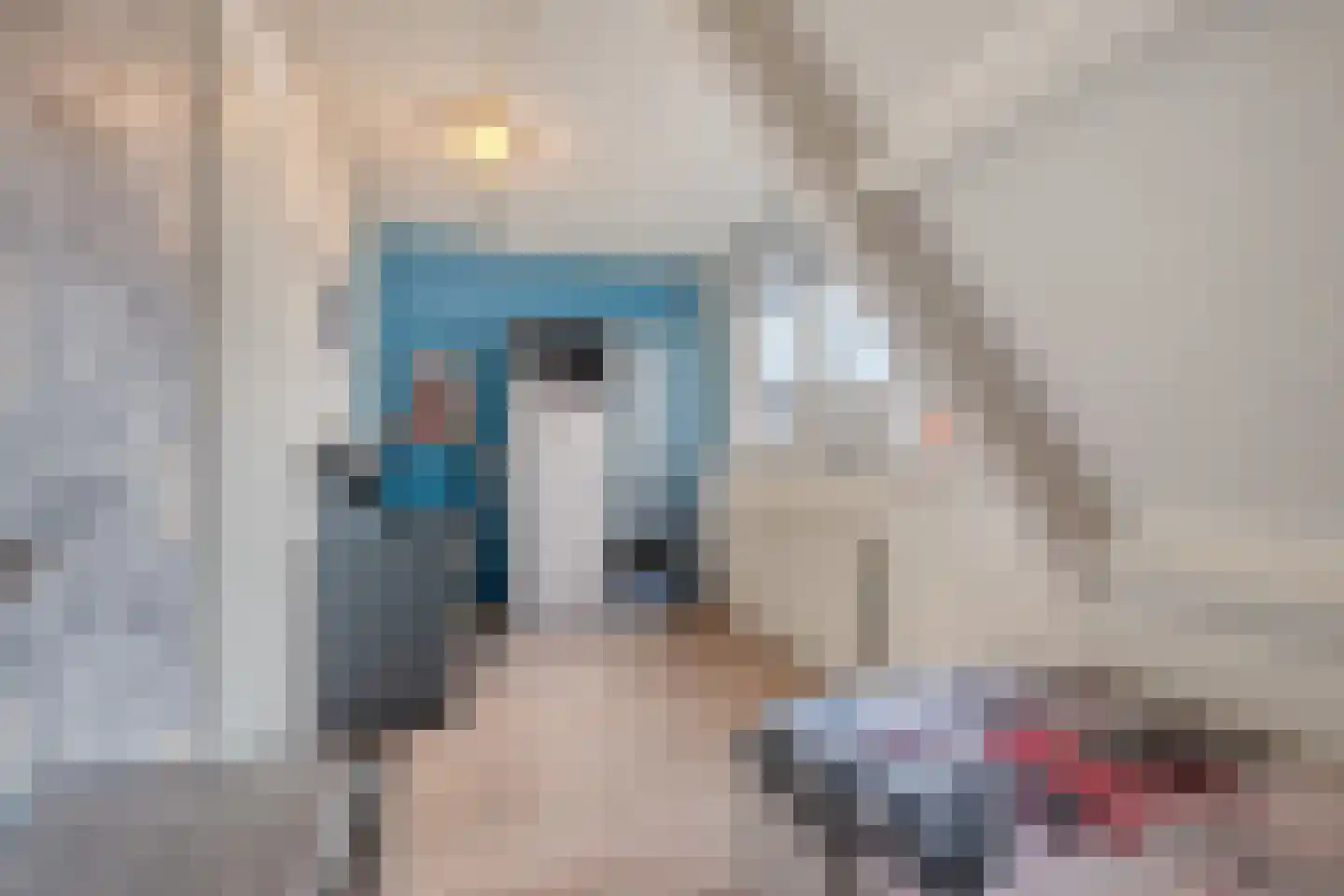 Wisselkom 8 Steenbergen thumbnail 24