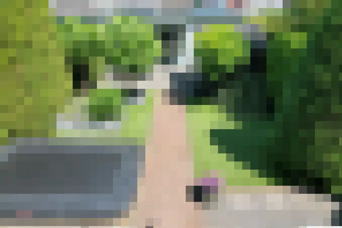 Wisselkom 8 Steenbergen thumbnail 34