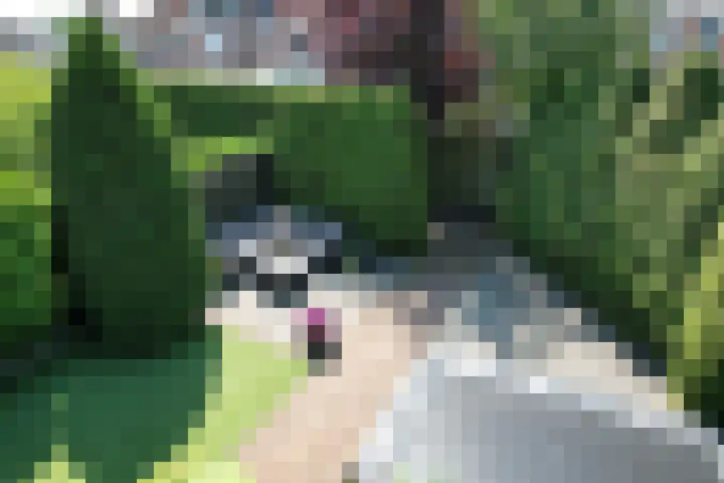 Wisselkom 8 Steenbergen thumbnail 35