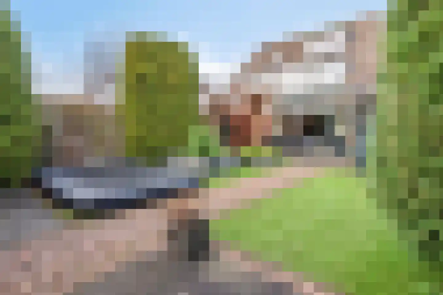 Wisselkom 8 Steenbergen thumbnail 38